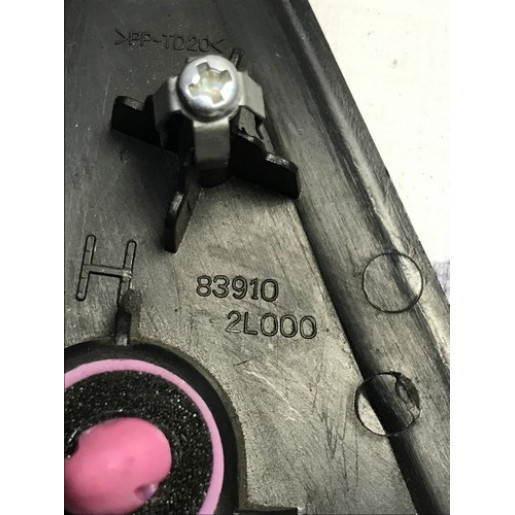 Накладка задньої лівої дверки Hyundai i30 HB 2007-2012 839102L000